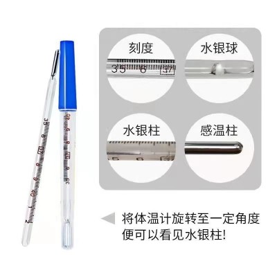 外贸跨境水银体温计温度计家用口腔腋下成人儿童玻璃三角形棒式图4