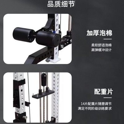 商用REP深蹲架卧推架 小飞鸟龙门架 双飞鸟训练器 商用健身器材图2