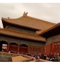 北京旅游必去：故宫博物院的深度探索之旅