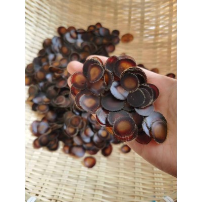 鹿茸蜡片图4