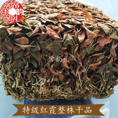 果福得福建金线莲干品产地厂家大量批发整株仿野生50克圆盒方盒装图4