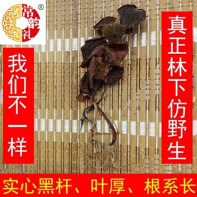 果福得福建金线莲干品产地厂家大量批发整株仿野生50克圆盒方盒装图3