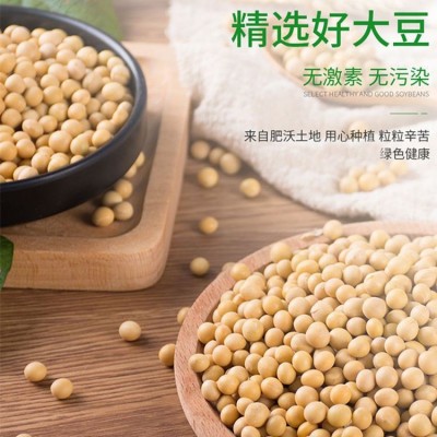 罗氏贝特无蔗糖营养高钙氨基酸蓝莓叶黄素益生菌驼乳蛋白质粉图3