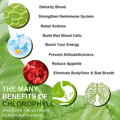 现货 跨境供应 叶绿素滴剂 Chlorophyll drops 支持O EM 贴 牌图3