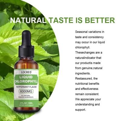 现货 跨境供应 叶绿素滴剂 Chlorophyll drops 支持O EM 贴 牌图5