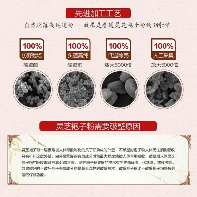 延青春牌成人中老年蓝帽保健食品 礼盒高含量三萜灵芝孢子粉胶囊图5