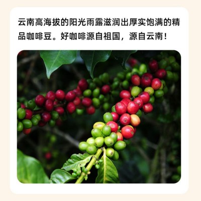 咖啡胶囊 咖啡冷萃小罐咖啡冻干鲜萃意式浓缩杯装黑咖啡美式12粒图4