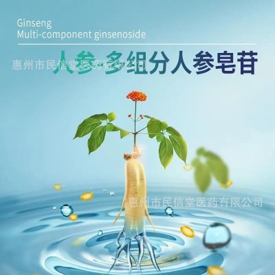 健尔马红曲人参银杏叶胶囊40粒/盒现货 0.3g*40粒一件代发批发图3