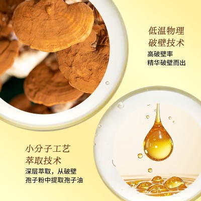 蓝帽灵芝孢子油软胶囊三萜高含量厂家定制增强免疫力灵芝孢子粉图3