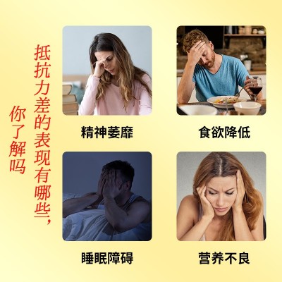 蓝帽灵芝孢子油软胶囊三萜高含量厂家定制增强免疫力灵芝孢子粉图4