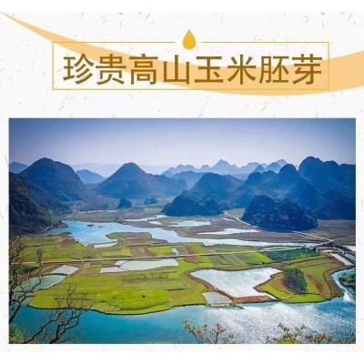 玉米胚芽粉固体饮料未来生物同款SOD微商产品 厂家直销 量大价优图3