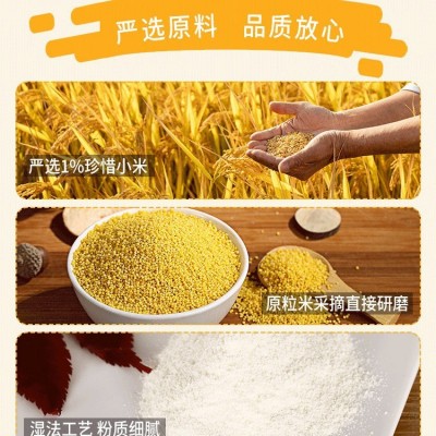 嘉宝米粉英式米粉儿童米粉高铁益生菌米粉氨基酸酶水解营养米粉图3