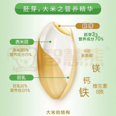 宝宝零食宝宝辅食嘉宝米粉米糊婴儿米粉婴幼儿米粉一罐一码批发图4