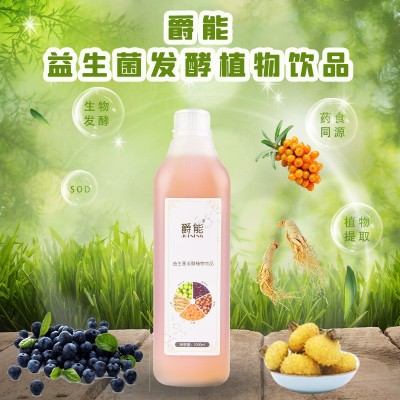 定制款 药食同源人参刺梨酵素 爵能益生菌发酵饮品酵素原液OEM图2