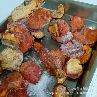 台湾牛樟芝滴丸 牛樟芝批发批发代理 代加工 原料供应图3