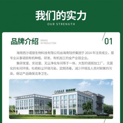 海南果蔬酵素种植 有机诺丽果酵素液原液便携装 源头工厂零糖零脂图2