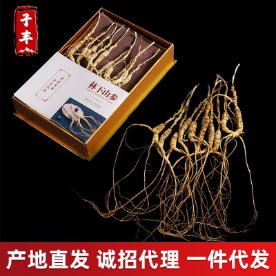 吉林长白山地产高龄小林下参15-18年 东北高龄人参免费打粉10支装图1