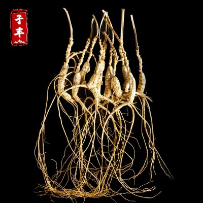 吉林长白山地产高龄小林下参15-18年 东北高龄人参免费打粉10支装图5