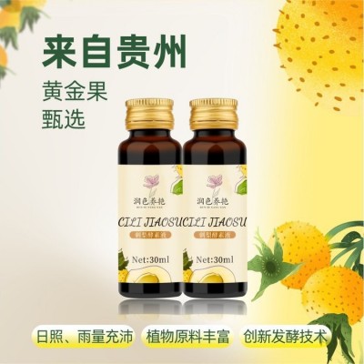 南瓜酵素饮口服液代加工oem 果蔬刺梨沙棘复合肽饮品定制图2