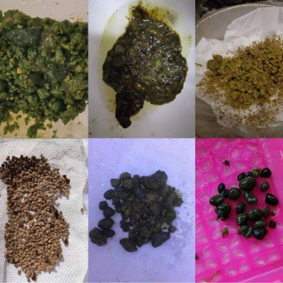 肝胆肠排 毒 肝胆净化 健权同款 安美丹清月干清 复合饮果蔬酵图3