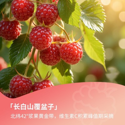 树莓覆盆子富硒苹果醋原浆 零蔗糖饮料工厂批发图5